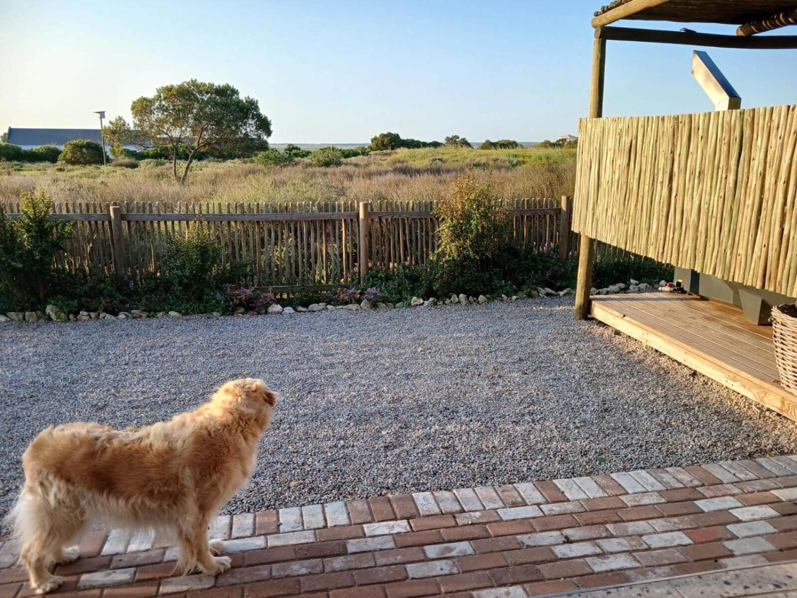 Camelot Cottages Langebaan Extérieur photo