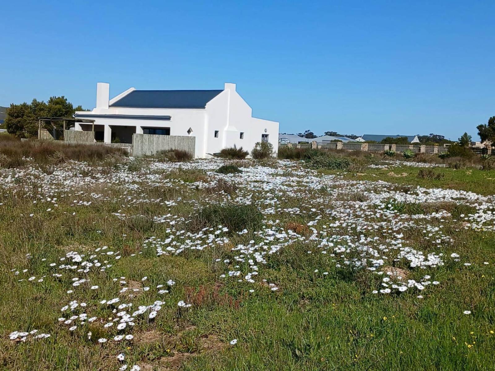 Camelot Cottages Langebaan Extérieur photo