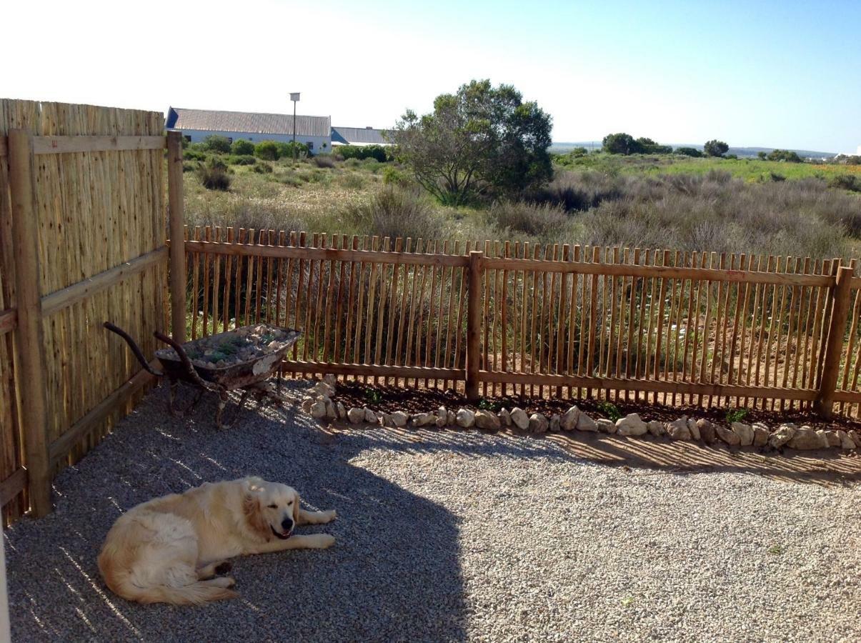 Camelot Cottages Langebaan Extérieur photo